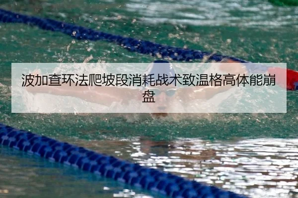 bo-jia-cha-huan-fa-pa-po-duan-xiao-hao-zhan-shu-zhi-wen-ge-gao-ti-neng-beng-pan-2-375.jpg