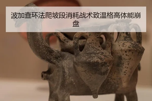 波加查环法爬坡段消耗战术致温格高体能崩盘