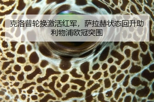 ke-luo-pu-lun-huan-ji-huo-hong-jun-sa-la-he-zhuang-tai-hui-sheng-zhu-li-wu-pu-ou-guan-tu-wei-3-795.jpg