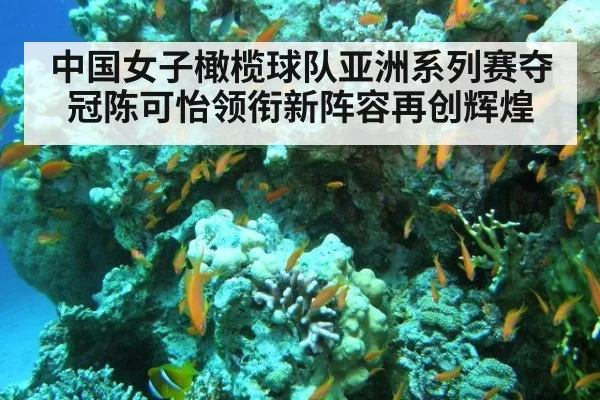 中国女子橄榄球队亚洲系列赛夺冠陈可怡领衔新阵容再创辉煌
