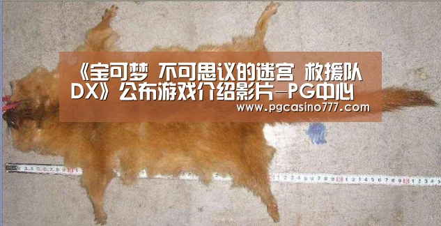 PG地址